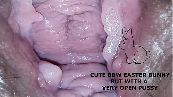 새로운 총 Cute bbw bunny, but with a very open pussy개의 영화