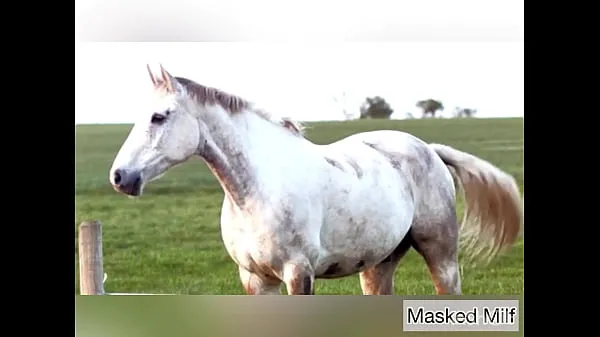 Skupno Horny Milf takes giant horse cock dildo compilation | Masked Milf novih filmov