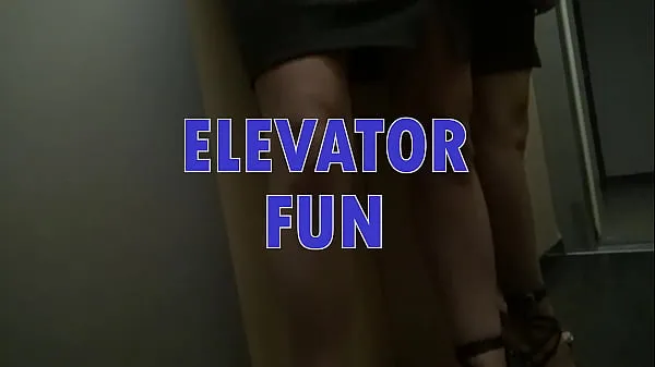 新的Elevator Fun共有电影